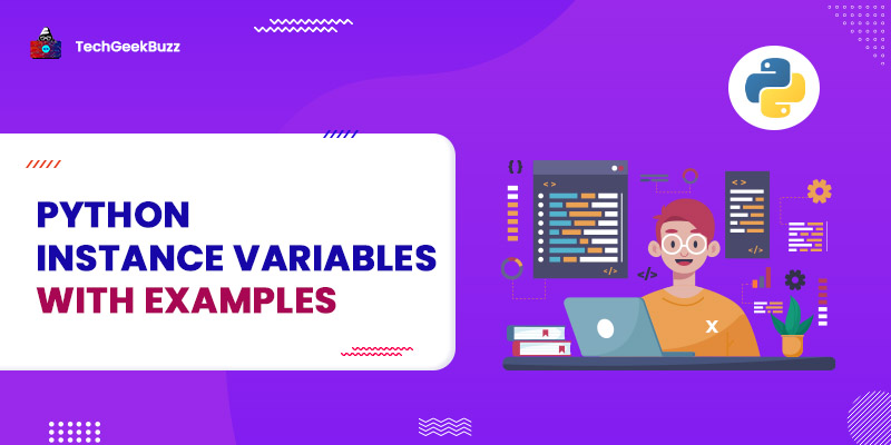 Python Instance Variables with Examples