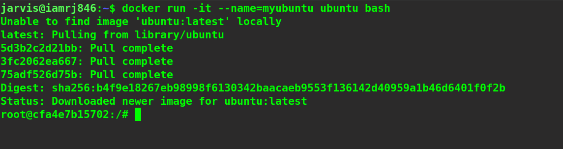 $ docker run -it --name=myubuntu ubuntu bash