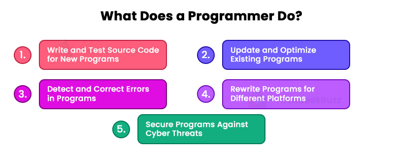 What Does a Programmr Do