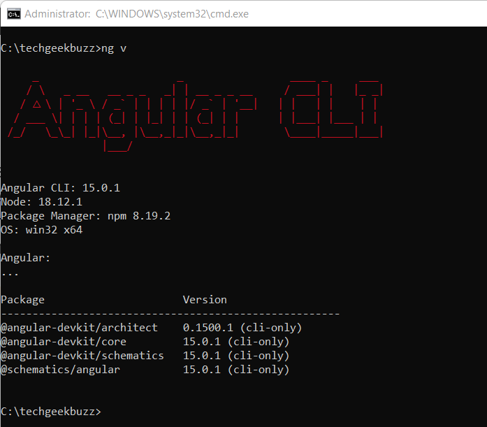 Check Angular version after install